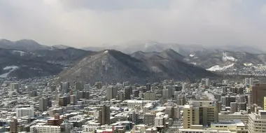 Forests in Sapporo, Winter