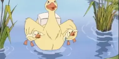 Duck, Babysitter