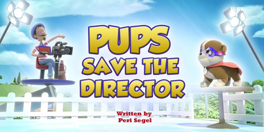 Pups Save the Director