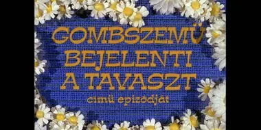 Gombszemű bejelenti a tavaszt