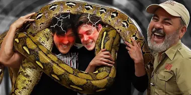 2 Idiots Get Crushed by 18-Foot Giant Snakes