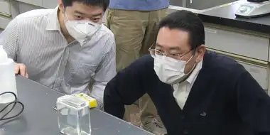 Researchers Develop Plastic That Decomposes After Use