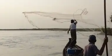 Fishing with Dolphins: Myanmar