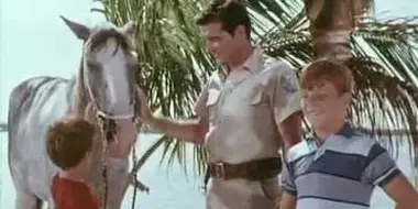 Flipper and the Horse Thieves