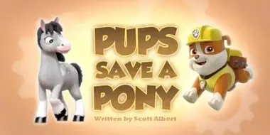 Pups Save a Pony