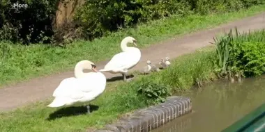 Grand Union and Stratford Canal