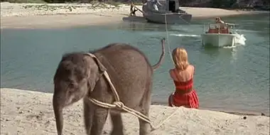 Flipper and the Elephant (2)