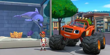 Big Rig: Dolphin Delivery