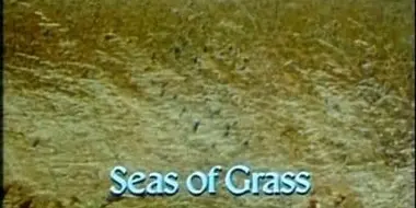 Seas of Grass