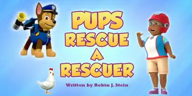 Pups Rescue a Rescuer