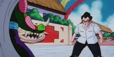 Kami vs. Piccolo