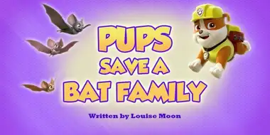 Pups Save a Bat Family