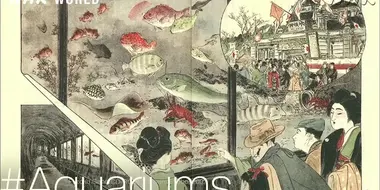 A Brief History [#Aquariums]