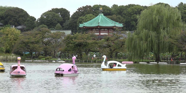 Ueno Park - At the Crossroads of Edo and Meiji