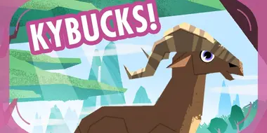 Kybuck