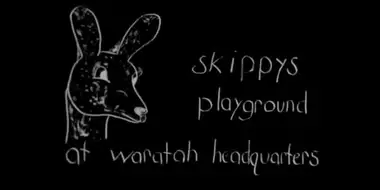 Skippy's Playground at Waratah Headquarters