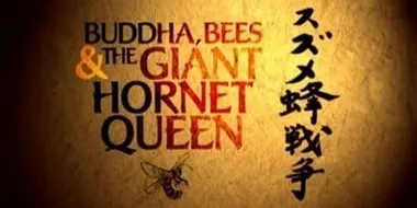 Buddha, Bees And The Giant Hornet Queen