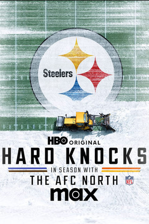 The AFC North