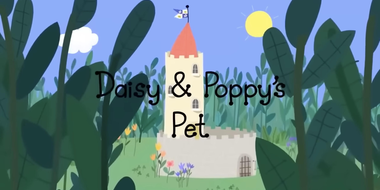 Daisy & Poppy's Pet