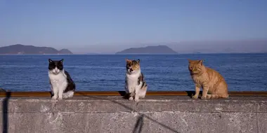 Okayama: A View of the Seto Inland Sea