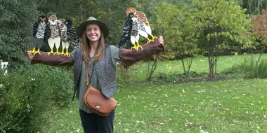 Kirby the Falconer