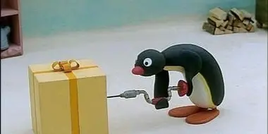 Pingu is Curious