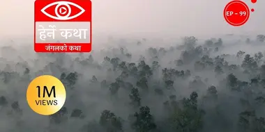 Jungle ko Katha