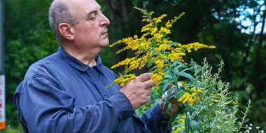Pastor Istvan's Botanical Blessings