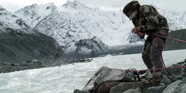 The Top of the Bottom of the World: New Zealand Tahr (2)