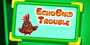 Echobird Trouble