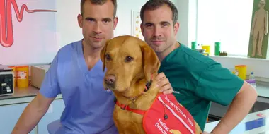 The Dog Who Saves Lives