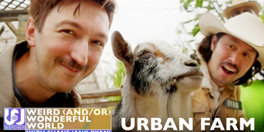 Shane and Ryan Become Urban Farmers