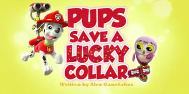 Pups Save a Lucky Collar