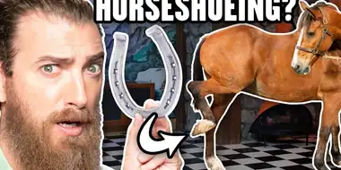 Will We Die Shoeing A Horse?