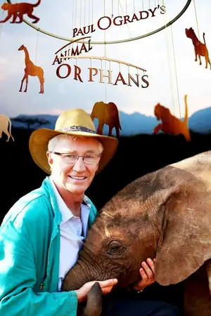 Paul O'Grady's Animal Orphans