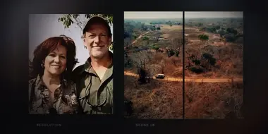 Safari Story