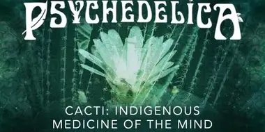 Cacti: Indigenous Medicine of the Mind