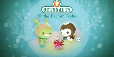 The Hermit Crabs