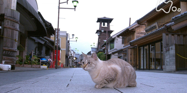 Kawagoe and Chichibu