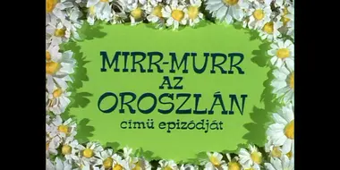 Mirr Murr, az oroszlán