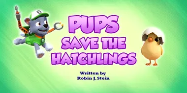 Pups Save the Hatchlings