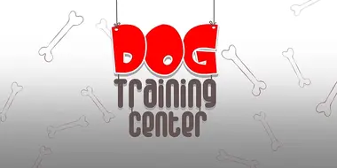 Dog Training Center