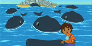 Diego Saves Baby Humpback Whale