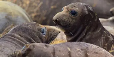 Monterey Bay National Marine Sanctuary, USA