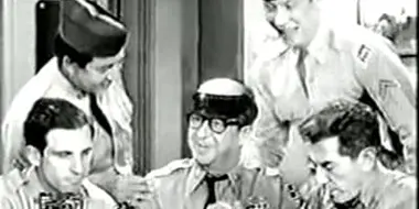 Bilko's Allergy