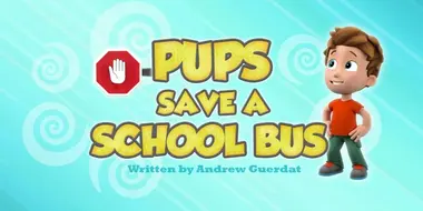 Pups Save a School Bus