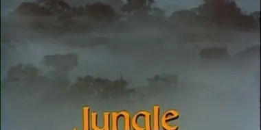 Jungle