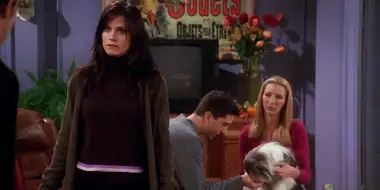 The One Where Chandler Doesn't Like Dogs