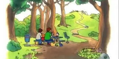 Caillou's Picnic