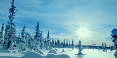 Taiga: The Frozen Forests